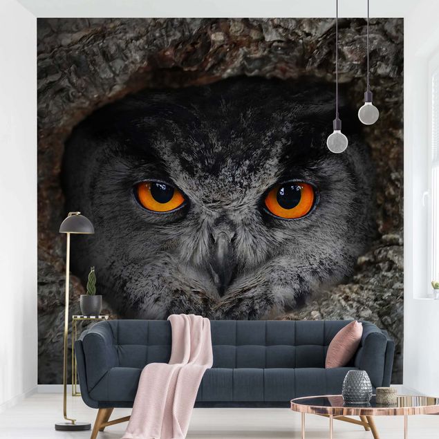 køkken dekorationer Watching Owl