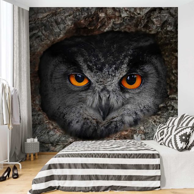 Moderne tapet Watching Owl