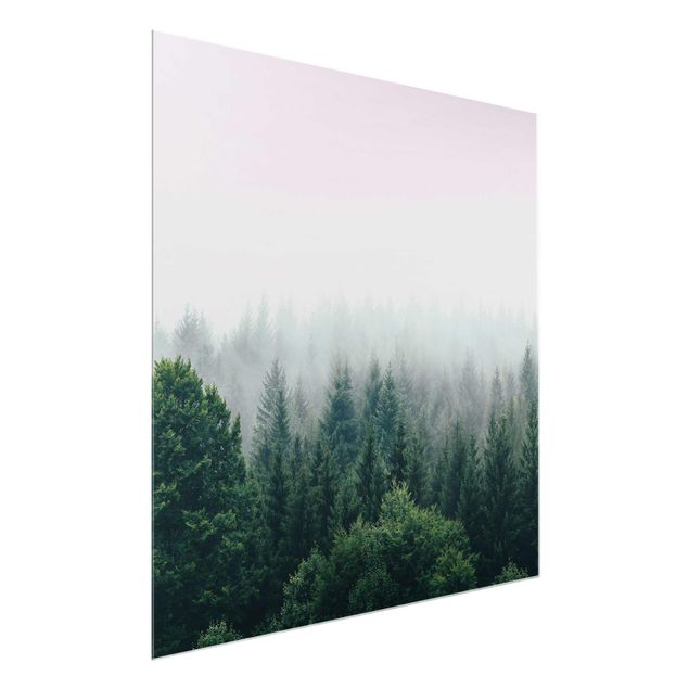 Billeder landskaber Foggy Forest Twilight