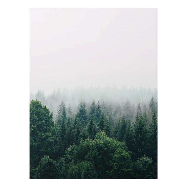 Billeder natur Foggy Forest Twilight