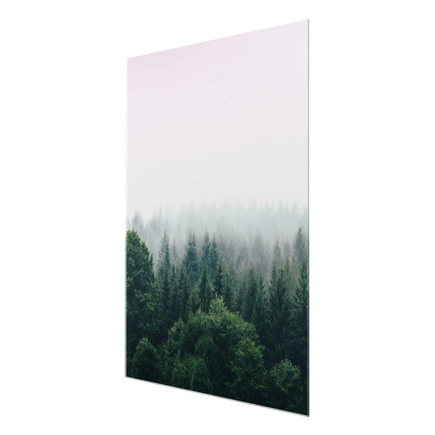 Billeder moderne Foggy Forest Twilight