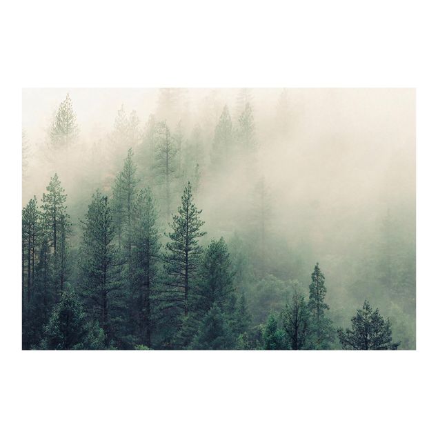 Tapet Foggy Forest Awakening