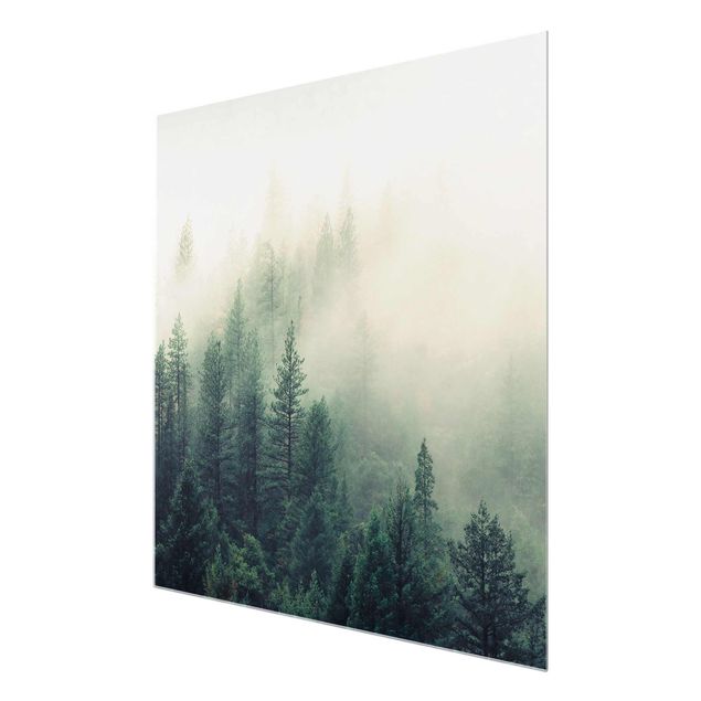 Billeder moderne Foggy Forest Awakening