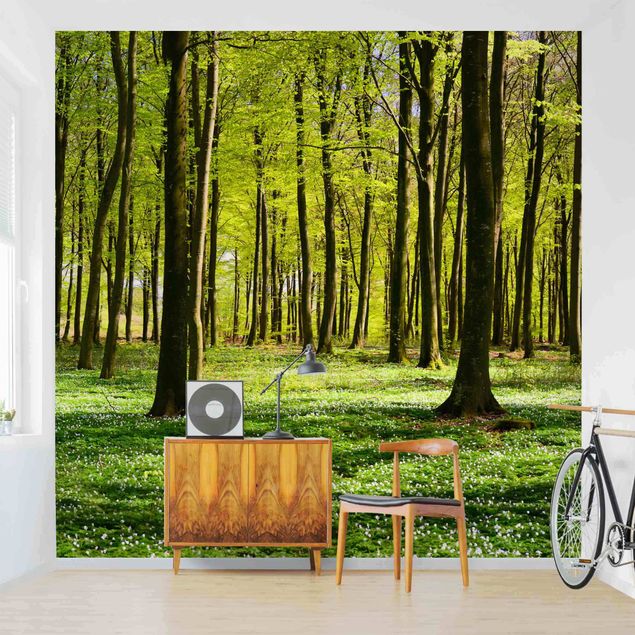 Moderne tapet Forest Meadow