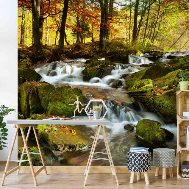 Moderne tapet Waterfall Autumnal Forest