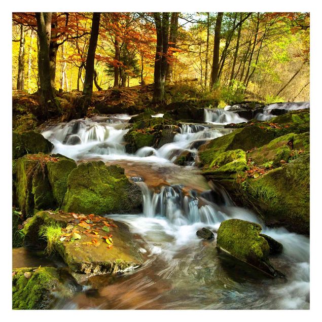 Fototapet grøn Waterfall Autumnal Forest