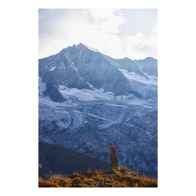 Billeder landskaber Marked Path In The Alps