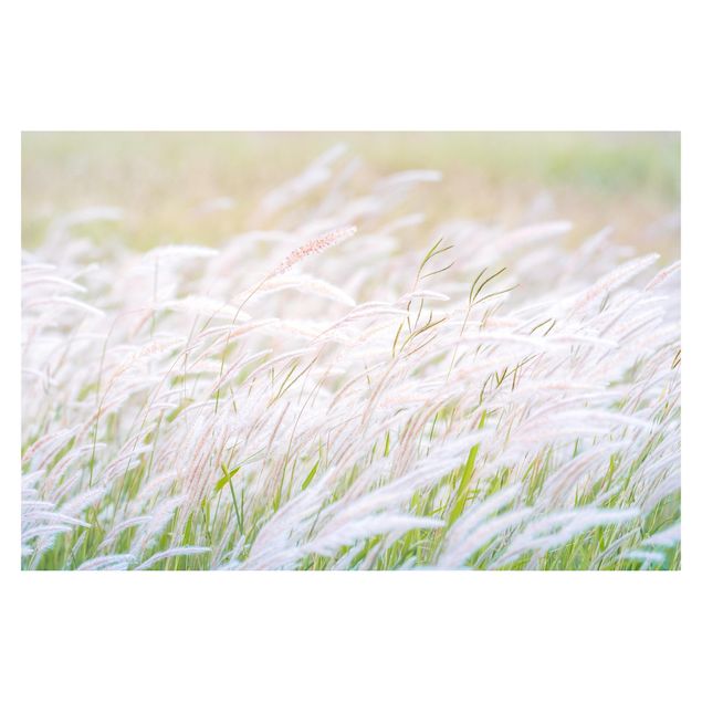 Tapet Soft Grasses