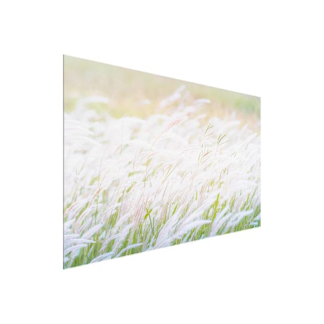 Billeder blomster Soft Grasses