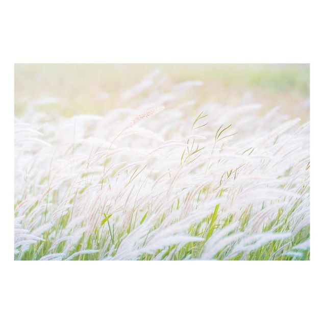Billeder Soft Grasses