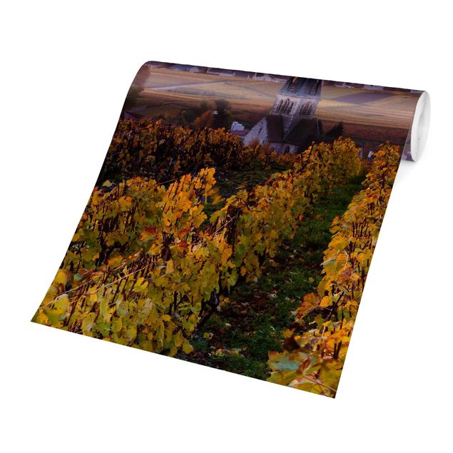 Fototapet gul Wine Plantations At Sunset