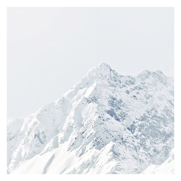 Billeder Monika Strigel White Mountains