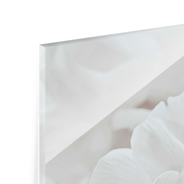 Billeder Monika Strigel White Flower In An Ocean Of Flowers