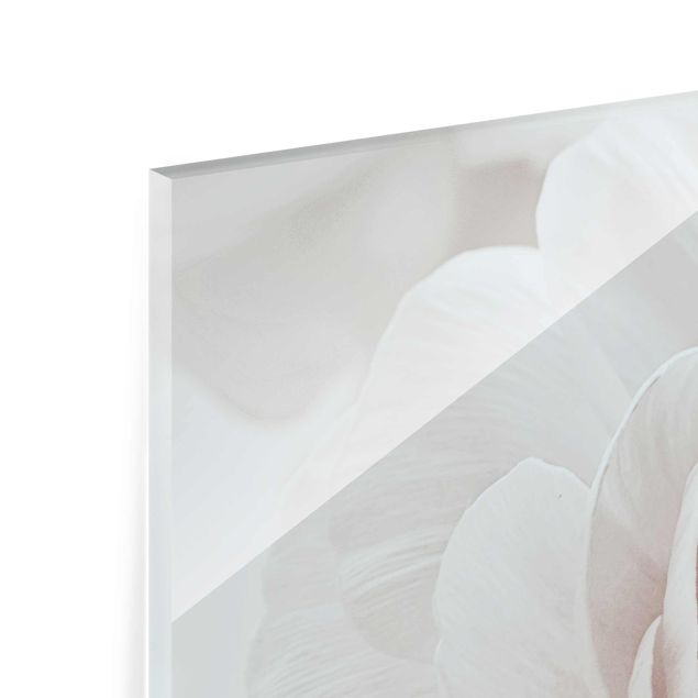 Billeder Monika Strigel White Flower In An Ocean Of Flowers