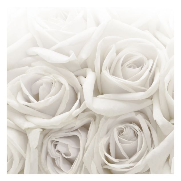 Tapet White Roses