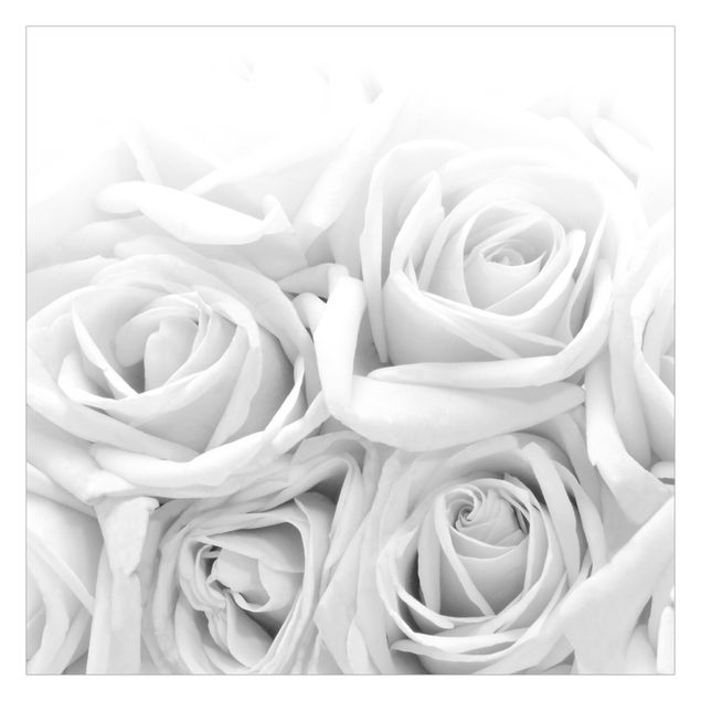 Tapet White Roses Black And White
