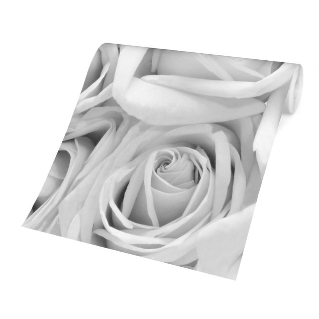 Moderne tapet White Roses Black And White