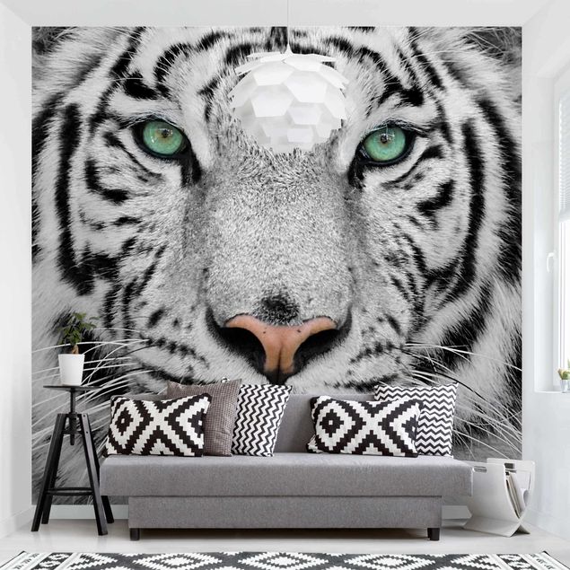 køkken dekorationer White Tiger