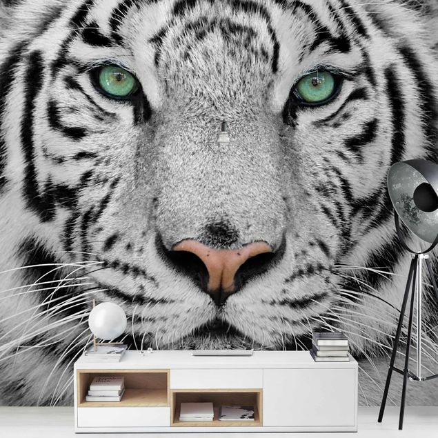 Moderne tapet White Tiger