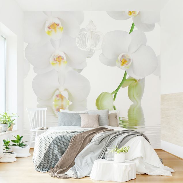 Fototapet orkideer Spa Orchid - White Orchid