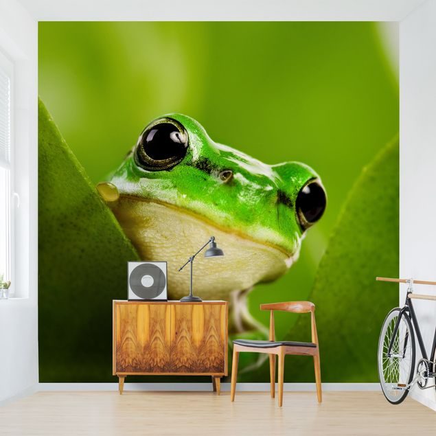 Moderne tapet Frog