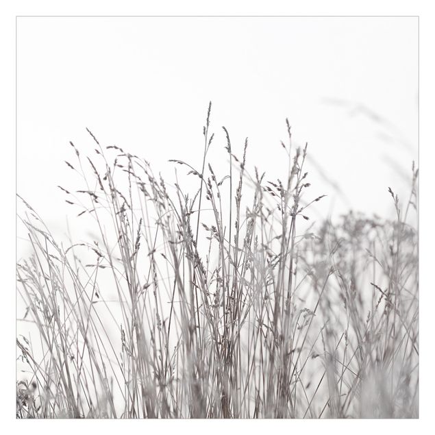 Billeder Monika Strigel Winter Grasses