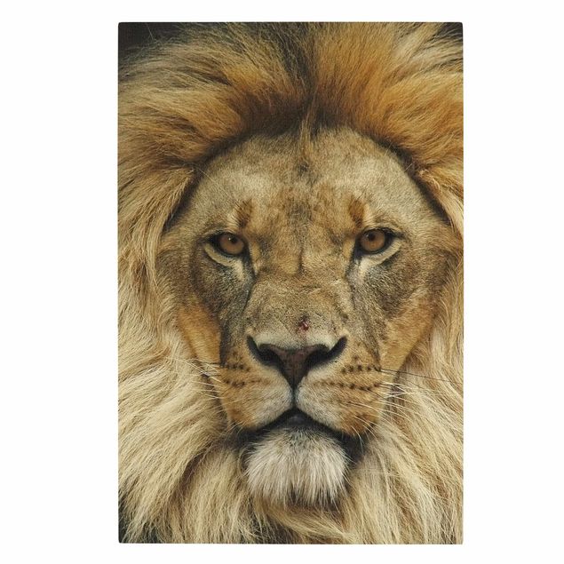Billeder på lærred dyr Wisdom of Lion