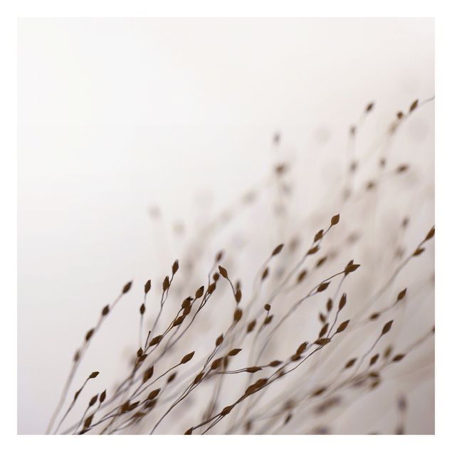Billeder Monika Strigel Soft Grasses In Slipstream