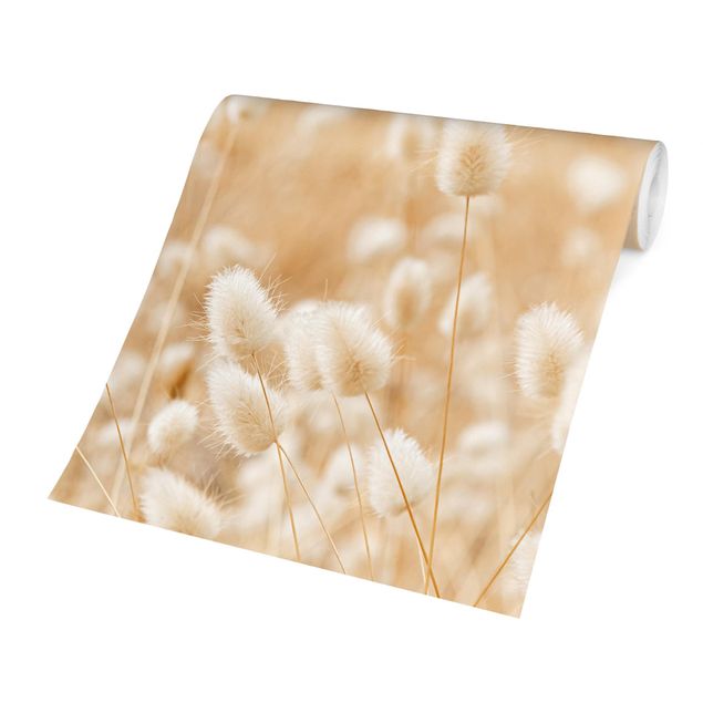 Tapet beige Delicate Grasses
