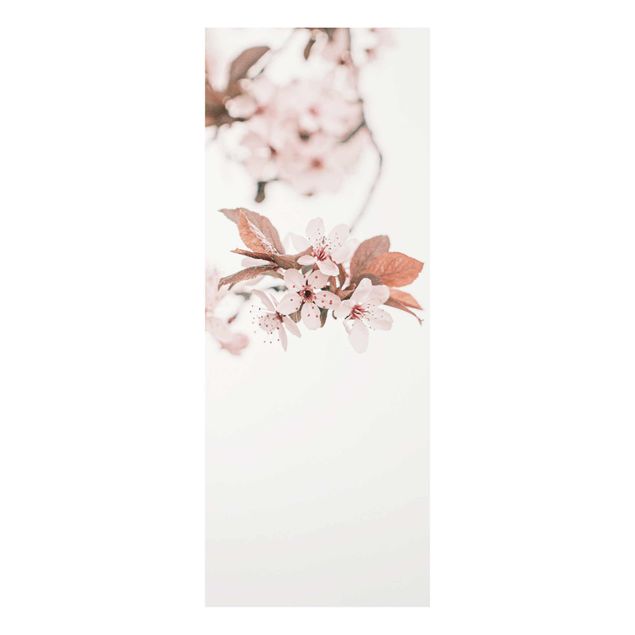 Billeder lyserød Delicate Cherry Blossoms On A Twig