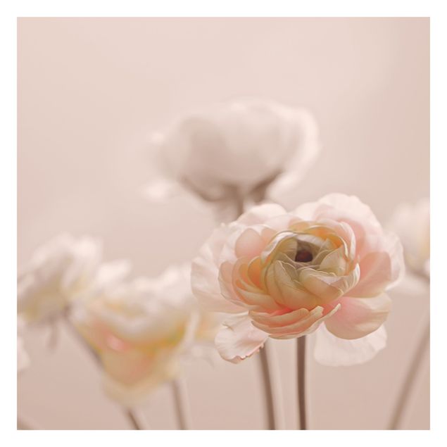 Fototapet lyserød Delicate Bouquet Of Light Pink Flowers