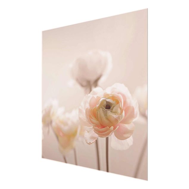 Billeder lyserød Delicate Bouquet Of Light Pink Flowers