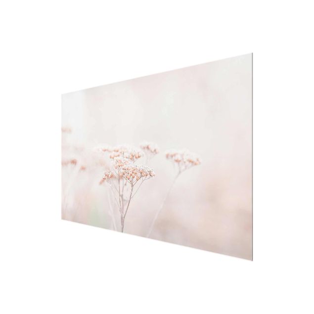 Billeder Monika Strigel Pale Pink Wild Flowers