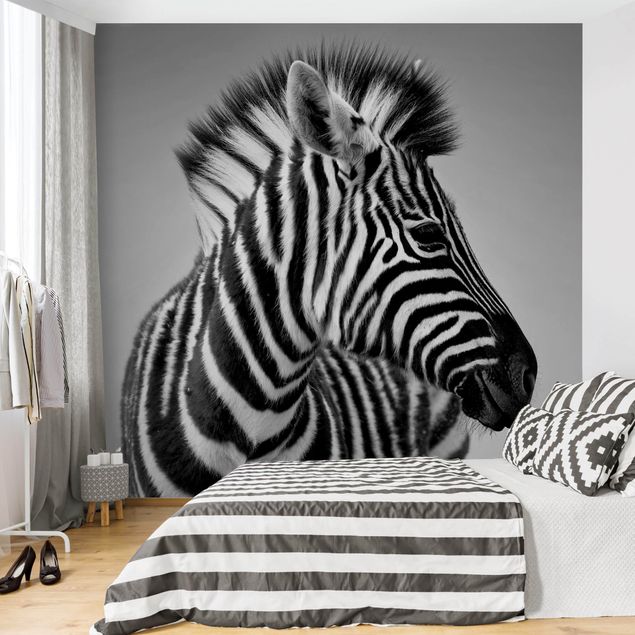 Moderne tapet Zebra Baby Portrait II