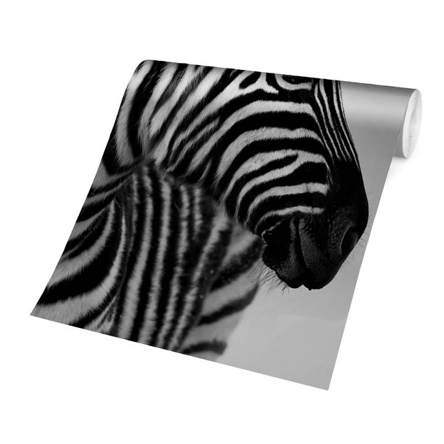 Dyre tapet Zebra Baby Portrait II