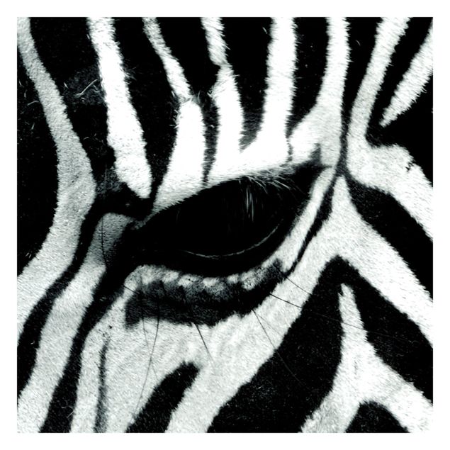 Tapet med dyr Zebra Crossing