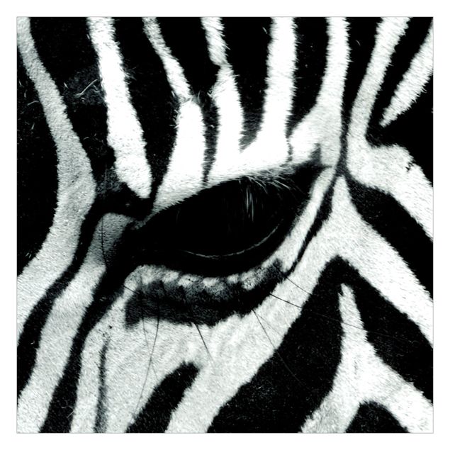 Tapet dyr Zebra Crossing