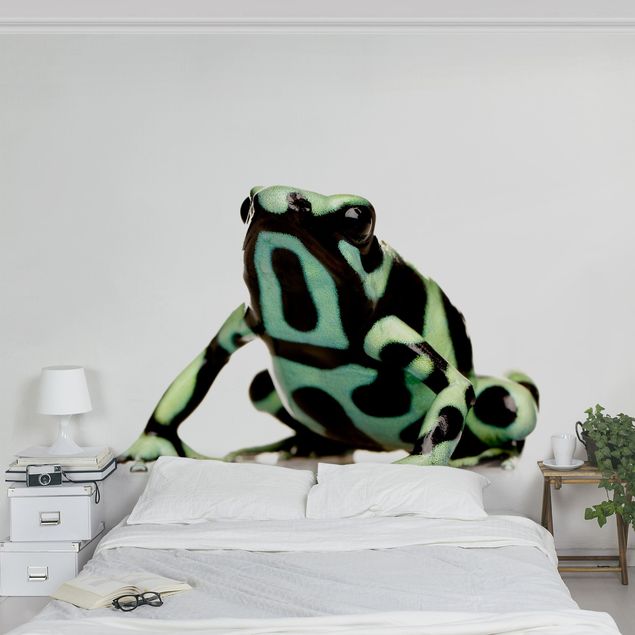 Tapet moderne Zebra Frog