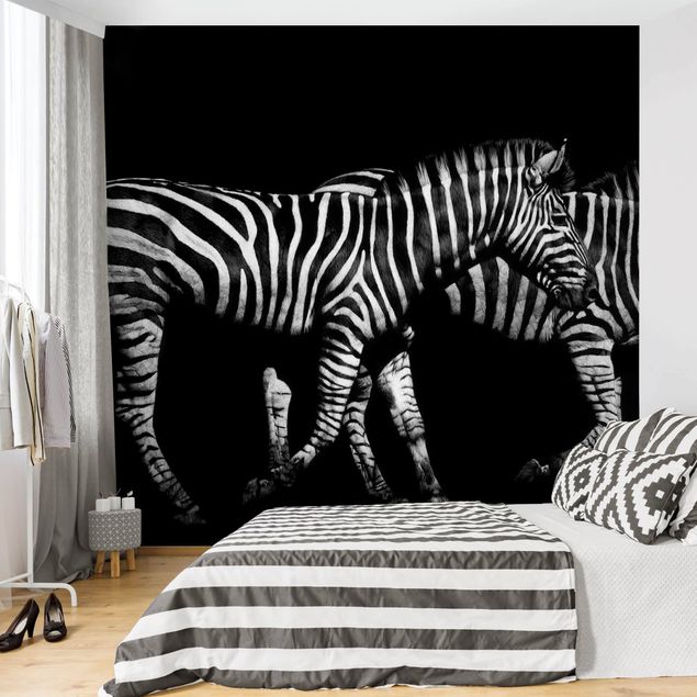 Fototapet zebraer Zebra In The Dark