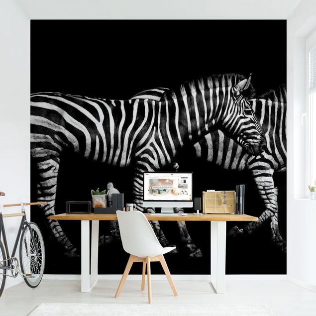 Tapet moderne Zebra In The Dark