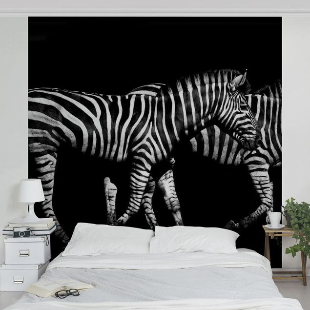 Sort hvid tapet Zebra In The Dark
