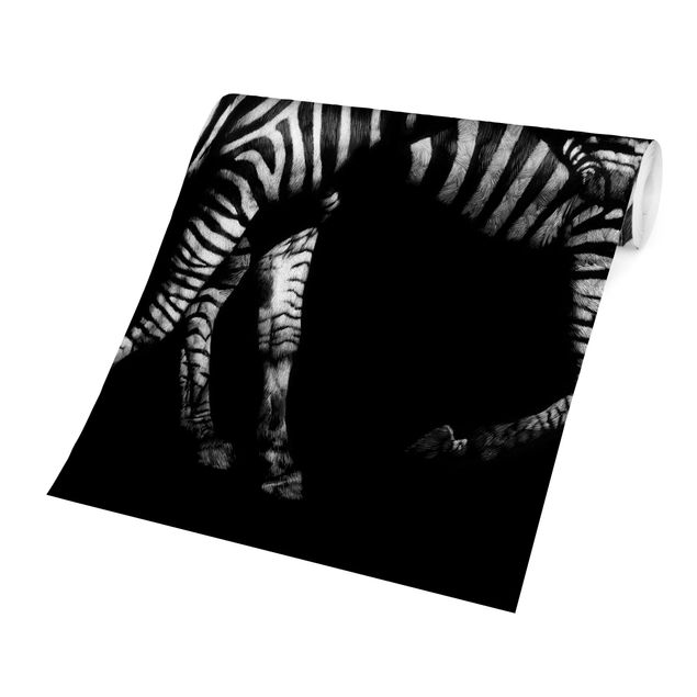 Tapet dyr Zebra In The Dark