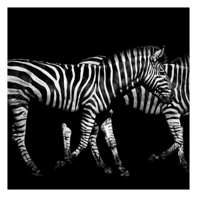 Tapet Zebra In The Dark
