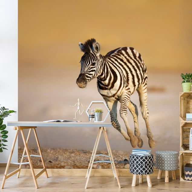 køkken dekorationer Zebra Foal