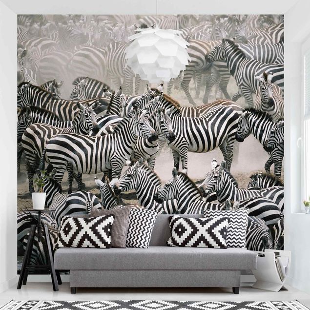 Fototapet zebraer Zebra Herd