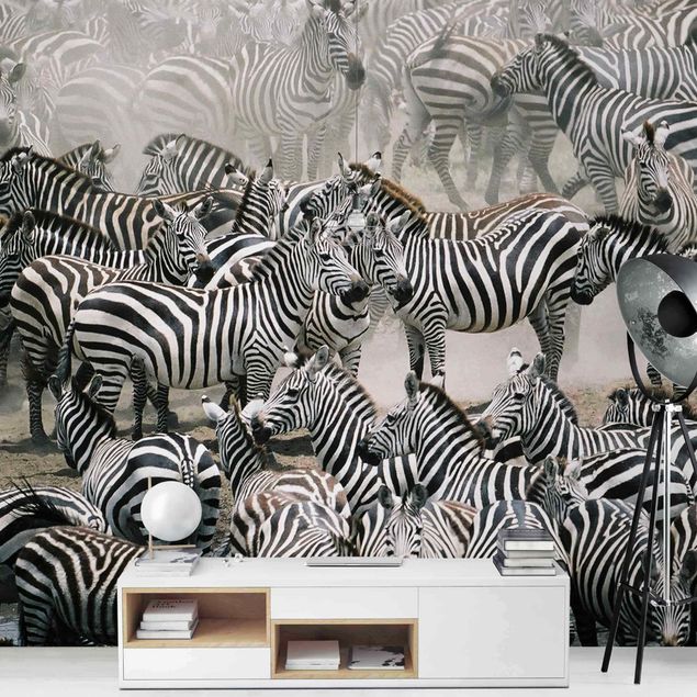 Sort hvid tapet Zebra Herd