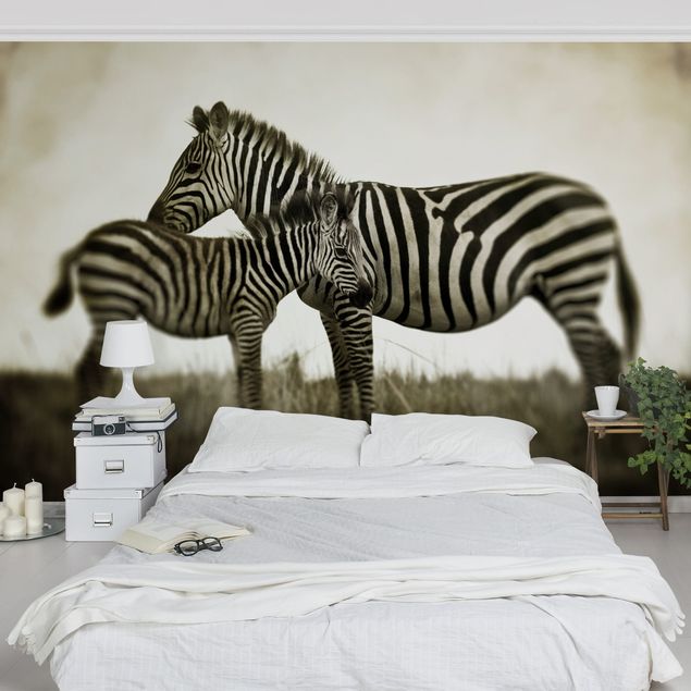 Fototapet zebraer Zebra Couple