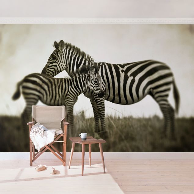 Fototapet sort og hvid Zebra Couple