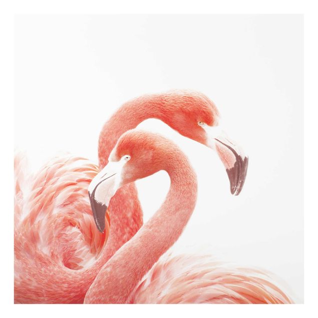 Billeder moderne Two Flamingos