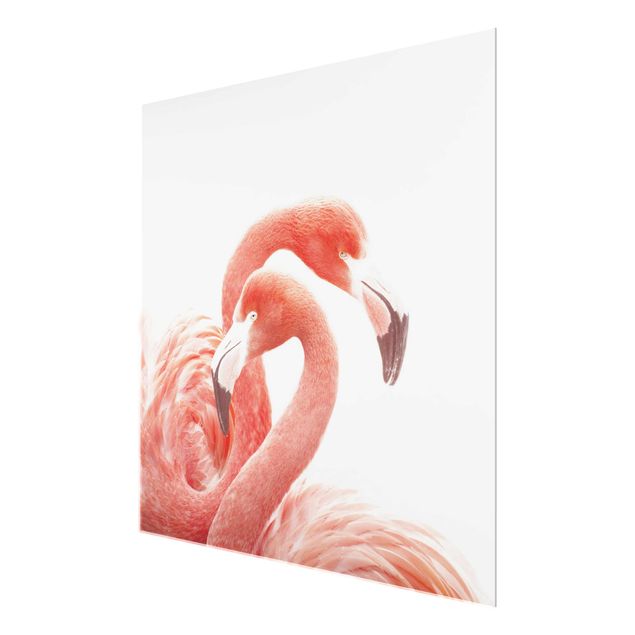 Billeder Monika Strigel Two Flamingos